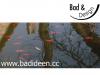 Bad & Design